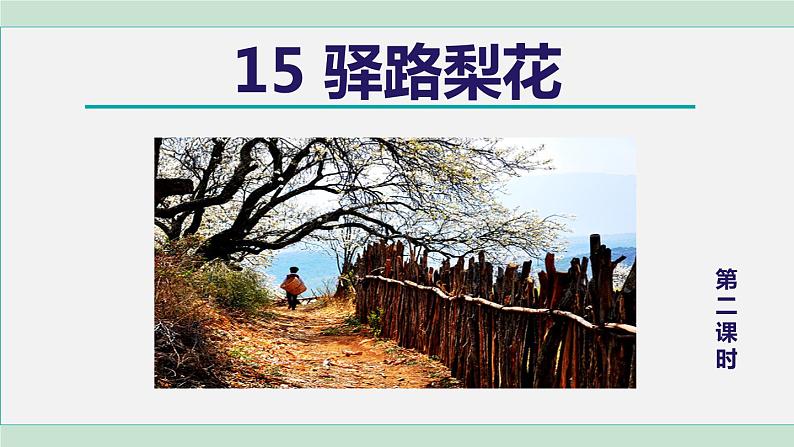 15. 驿路梨花 第2课时第1页