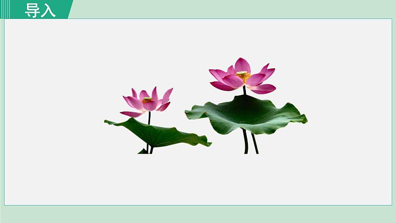 17. 爱莲说第1页