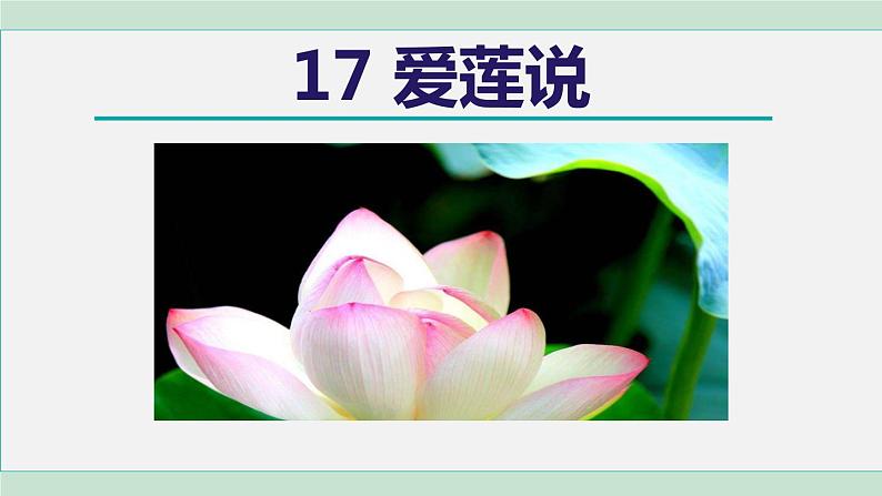 17. 爱莲说第4页