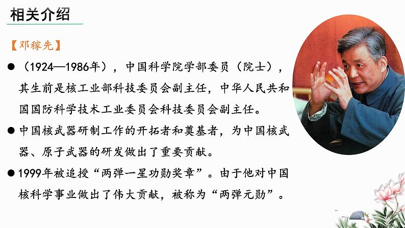 部编版语文七年级下册 01 邓稼先 教学课件第5页