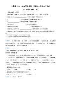 陕西省渭南市大荔县2023-2024学年九年级上学期期末语文试题