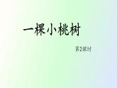 19 《一棵小桃树》第2课时PPT
