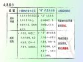 19 《一棵小桃树》第2课时PPT