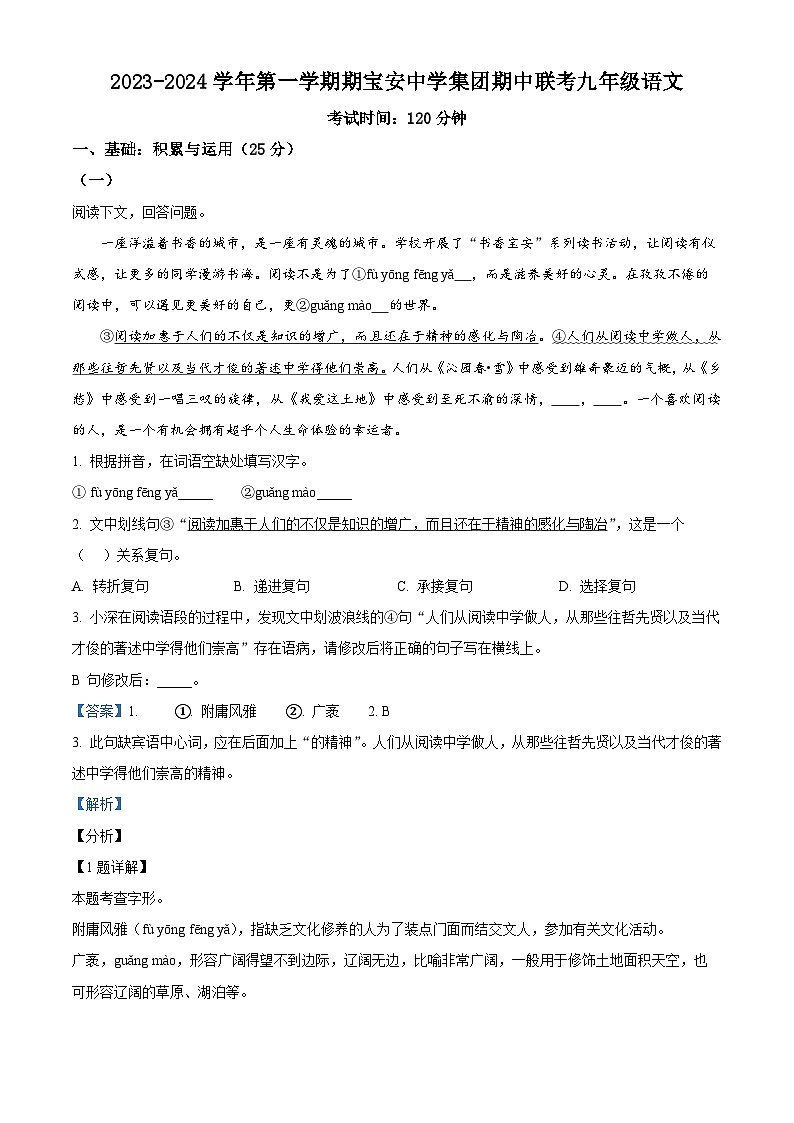 广东省深圳市宝安区宝安中学集团2023-2024学年九年级上学期期中语文试题01