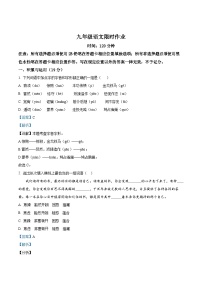 辽宁省沈阳市南昌初级中学2023-2024学年九年级上学期期中语文试题