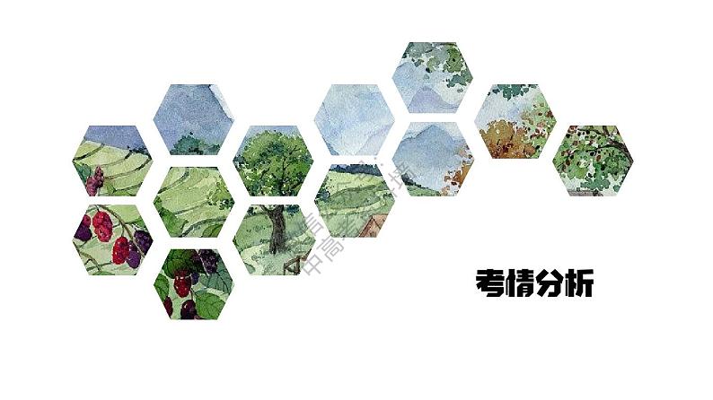 【中考语文】红星照耀中国名著考点梳理演练(全国通用版)第2页