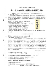 海南省海口市2023-2024学年九年级上学期1月期末语文试题A卷