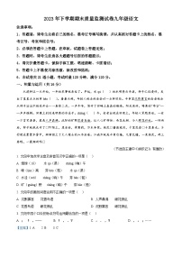 湖南省长沙市雅礼教育集团2023-2024学年九年级上学期期末语文试题