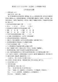 山东省济南市莱芜区2023-2024学年七年级（五四制）上学期期中考试语文试题