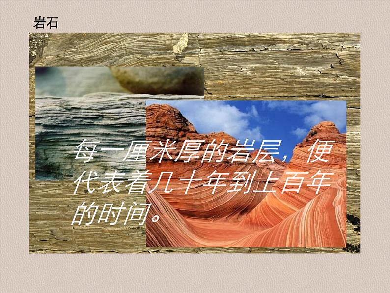 部编版语文八年级下册《时间的脚印》拓展教学课件第4页