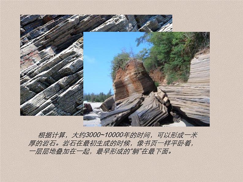 部编版语文八年级下册《时间的脚印》拓展教学课件第7页