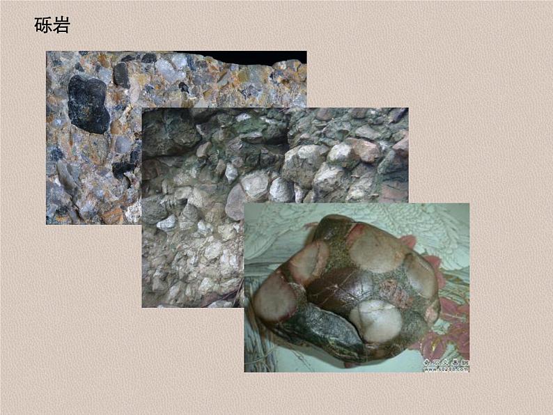 部编版语文八年级下册《时间的脚印》拓展教学课件第8页