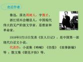 部编版语文八年级下册《社戏》拓展教学课件