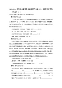 28，山东省青岛市城阳区2023-2024学年九年级上学期期中考试语文试卷(1)