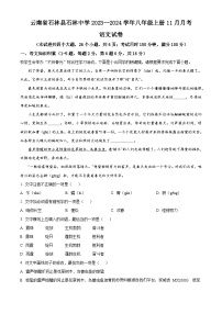17，云南省石林彝族自治县石林中学2023-2024学年八年级上学期11月月考语文试卷