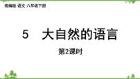 人教部编版八年级下册大自然的语言课文课件ppt