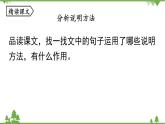 统编版语文八年级下册 第2单元 5《大自然的语言》第2课时课件