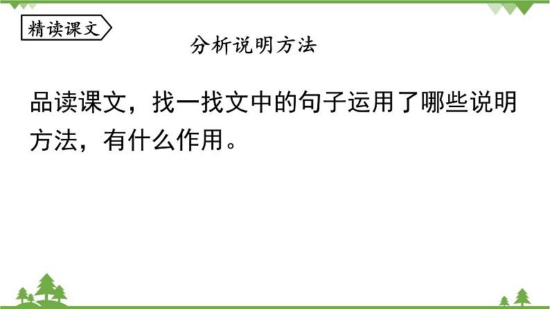 统编版语文八年级下册 第2单元 5《大自然的语言》第2课时课件04