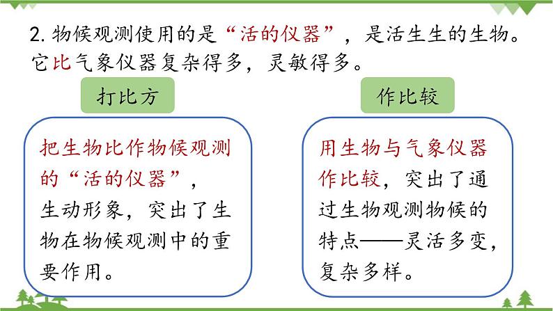 统编版语文八年级下册 第2单元 5《大自然的语言》第2课时课件06
