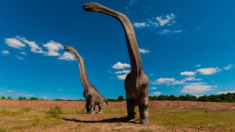 统编版语文八年级下册 第2单元 6《阿西莫夫短文两篇》第1课时课件01