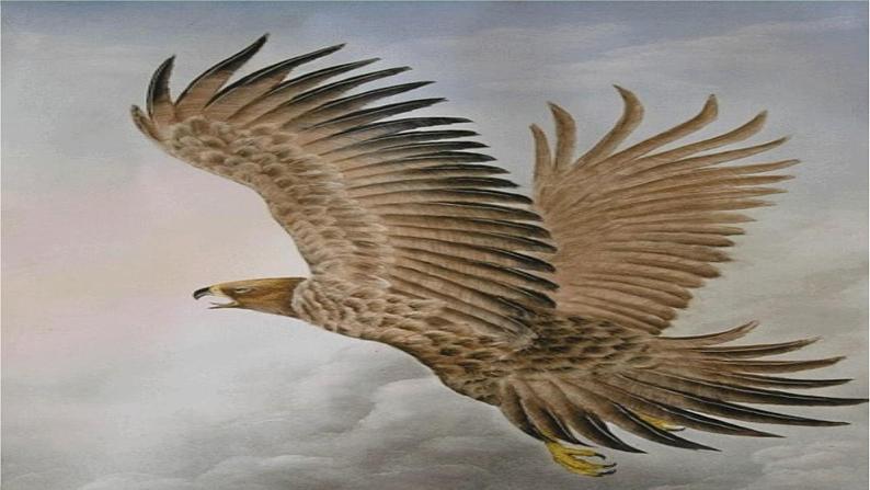 统编版语文八年级下册 第6单元 21《〈庄子〉二则》第1课时课件01