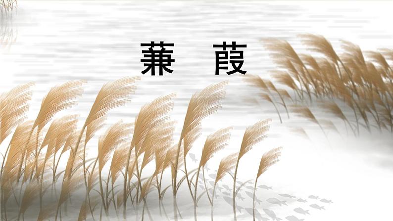 统编版语文八年级下册 第3单元 12《诗经二首》第2课时课件第4页
