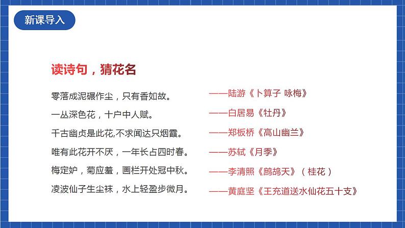 人教统编版语文七年级下册17.1《短文两篇》《爱莲说》 课件+教学设计03