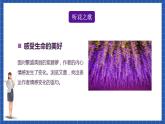 人教统编版语文七年级下册18.2《紫藤萝瀑布》第二课时 课件+教学设计