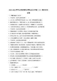 山东省青岛市崂山区2023-2024学年七年级上学期期末语文试题(含解析).docx山东省青岛市崂山区2023-2024学年七年级上学期期末语文试题(