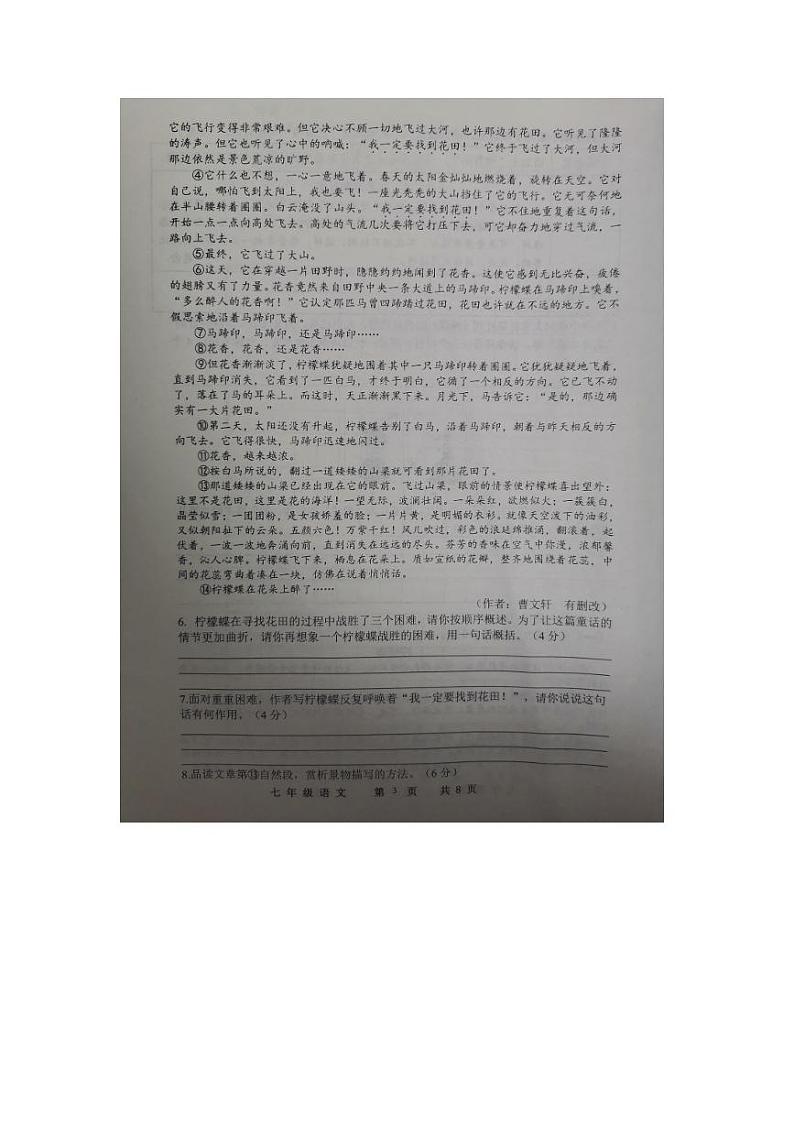 河南省商丘市民权县2023-2024学年七年级上学期期末语文试题（pdf版含答案）.pdf河南省商丘市民权县2023-2024学年七年级上学期期末语文试第3页