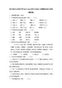 四川省乐山市市中区2023-2024学年七年级上学期期末语文试卷