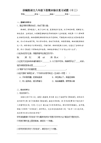 部编版语文八年级下册期末综合复习试题（十三）