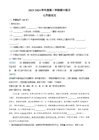 山东省宁津县大曹镇大赵中学2023-2024学年七年级上学期期中考试语文试题