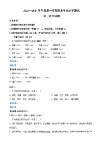 山东省菏泽市郓城县2023-2024学年九年级上学期期末语文试题