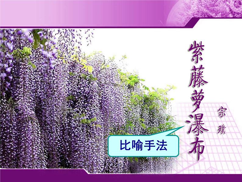 统编版七年级下第18课《紫藤萝瀑布》课件.pptx统编版七年级下第18课《紫藤萝瀑布》课件第2页