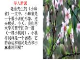 统编版七年级下第19课《一棵小桃树》课件.pptx统编版七年级下第19课《一棵小桃树》课件(1)
