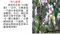 语文七年级下册一棵小桃树备课课件ppt