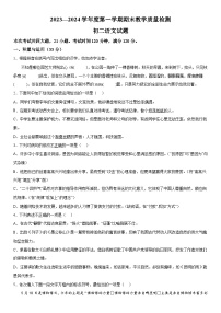 山东省菏泽市郓城县2023-2024学年八年级上册期末语文试题（含解析）