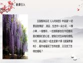 18 《紫藤萝瀑布》课件