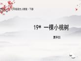19《一棵小桃树》课件