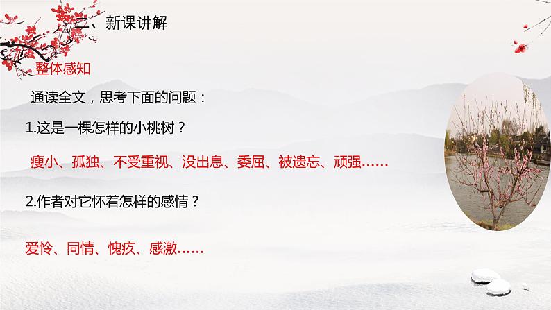 19《一棵小桃树》课件第7页