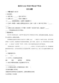 精品解析：2022年江苏省徐州市中考语文真题（原卷版）