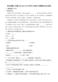 贵州省铜仁市碧江区2023-2024学年七年级上学期期末语文试题（原卷+解析）