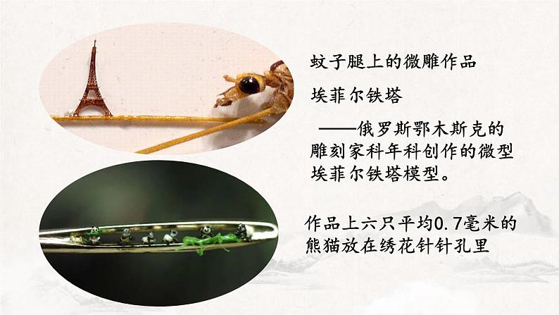 部编版八下语文第三单元《核舟记》同步课件第8页