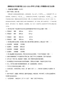 湖南省永州市新田县2023-2024学年九年级上学期期末语文试题（原卷+解析）