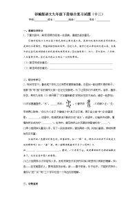 部编版语文九年级下册综合复习试题（十三）