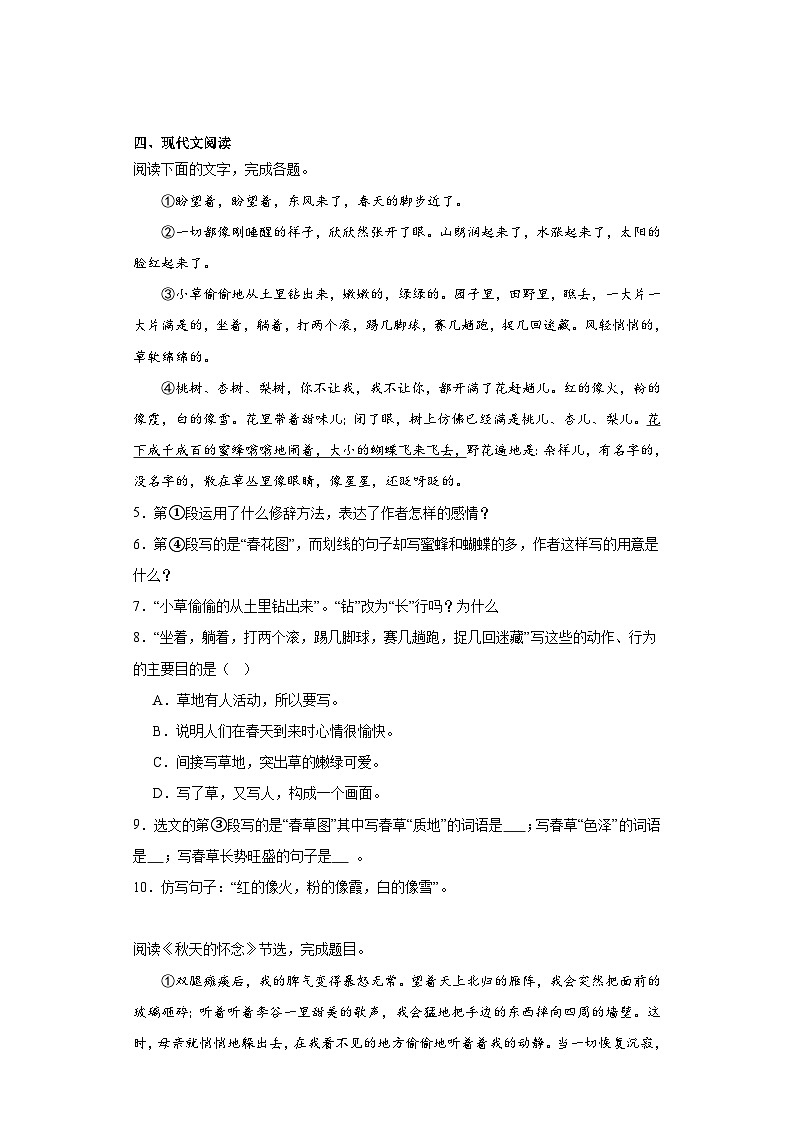 2024年中考语文七年级上册一轮复习试题（三）第2页