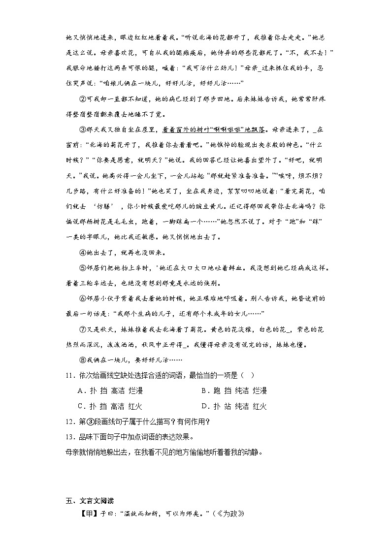 2024年中考语文七年级上册一轮复习试题（三）第3页