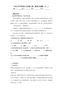 2024年中考语文七年级上册一轮复习试题（十一）
