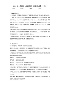 2024年中考语文七年级上册一轮复习试题（十七）